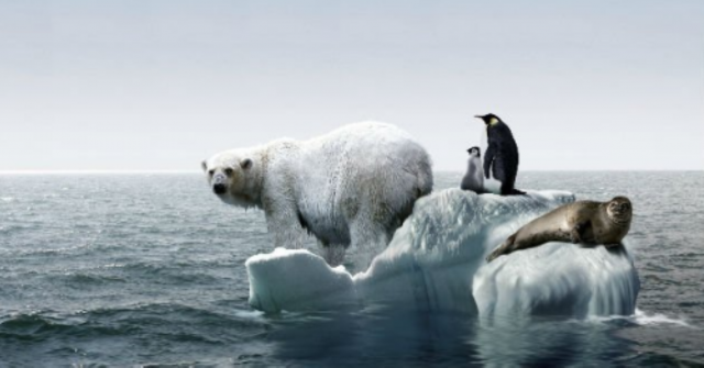 En 2030 daños de cambio climático serán irreversibles: Expertos En 2030 daños de cambio climático serán irreversibles: Expertos